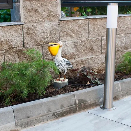 فيلة ози 1 допълнителна *