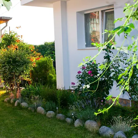 ози 1 допълнителна Villa