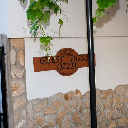 فيلة ози 1 допълнителна Ovchartsi (Kyustendil)