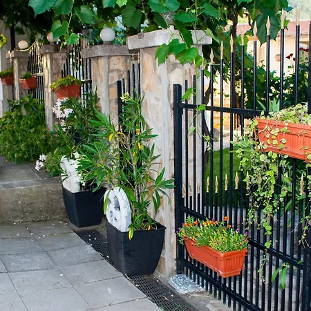 ози 1 допълнителна