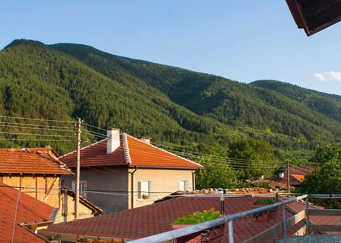 ози 1 допълнителна Луксозна вила *