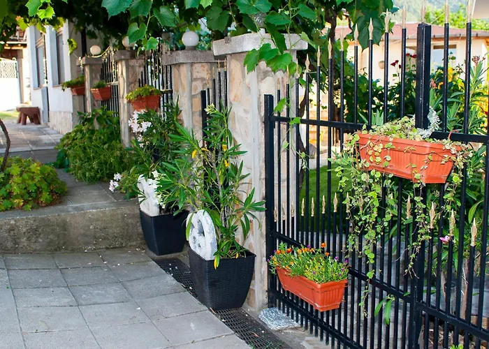 ози 1 допълнителна